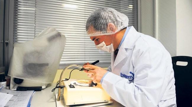 10-Gıda: Gıda mühendisi