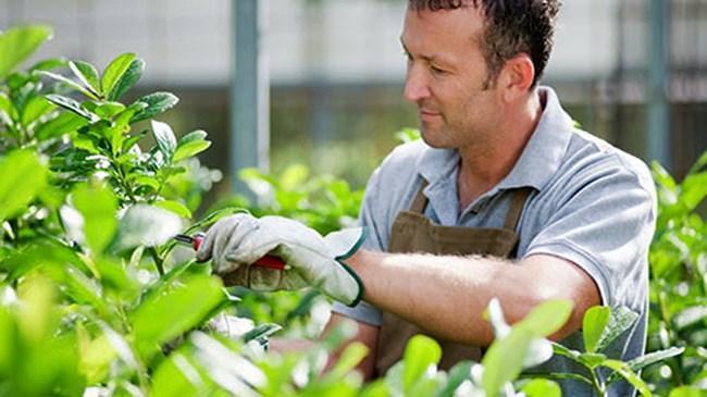 Bahçıvanlık Yapabilirsiniz