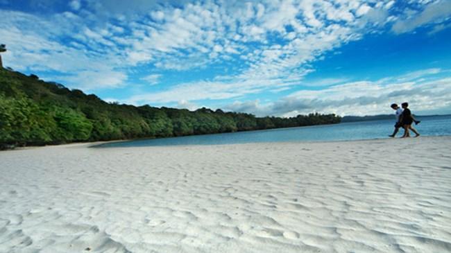 3 - Survivor 3 - Survivor