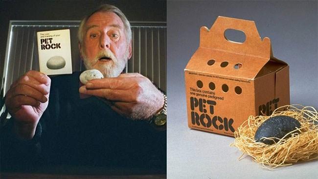 3) Kaya Hayvanı 3) Kaya Hayvanı