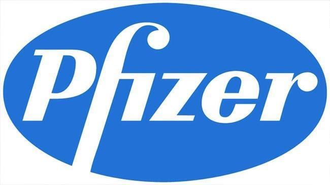 Pfizer - Warner Lambert Pfizer - Warner Lambert