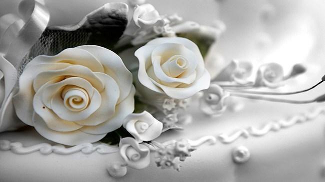 Aşırı Pahalı Pastalar