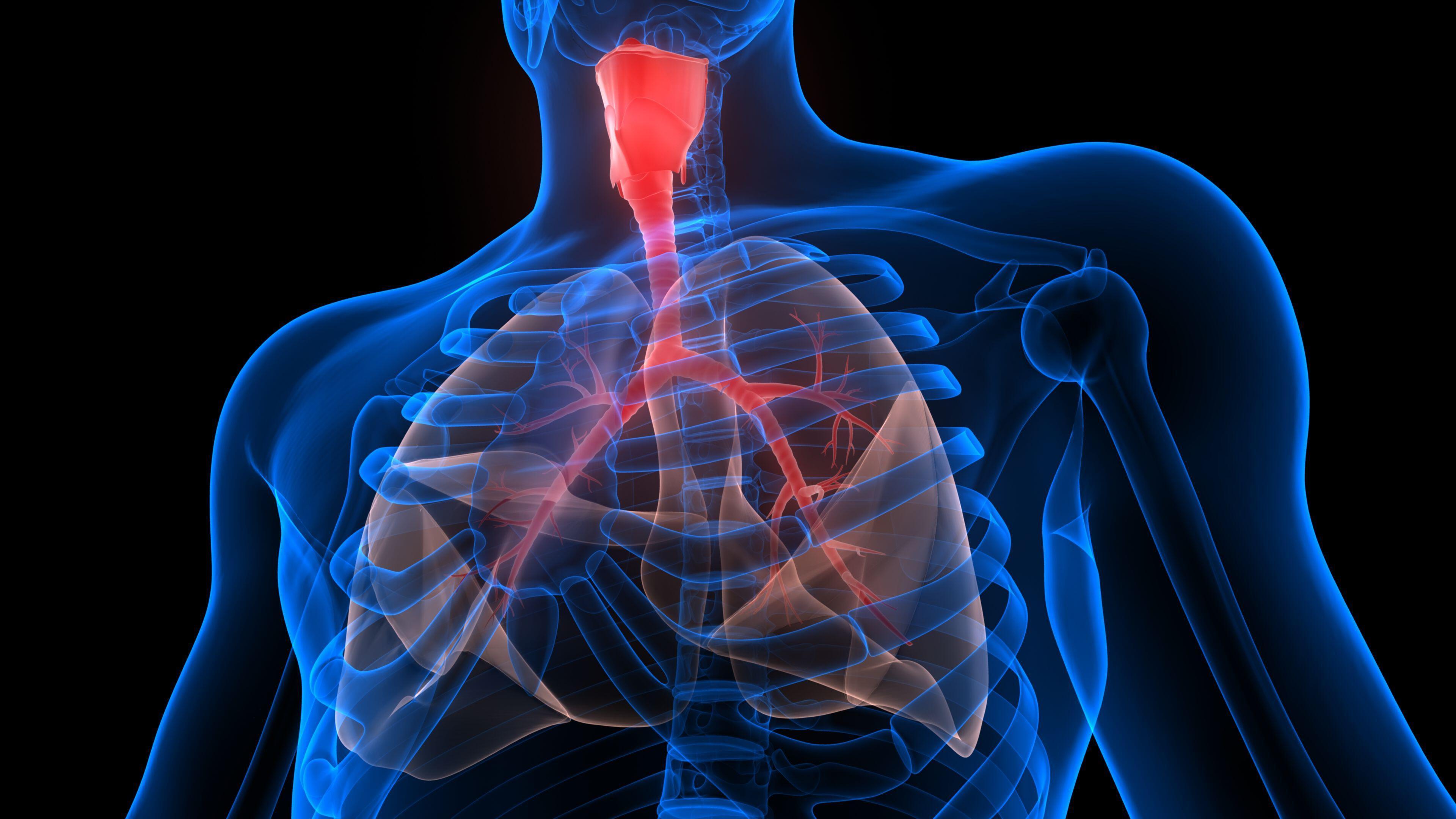 Sigara kullan�m� KOAH riskini y�zde 80 art�r�yor