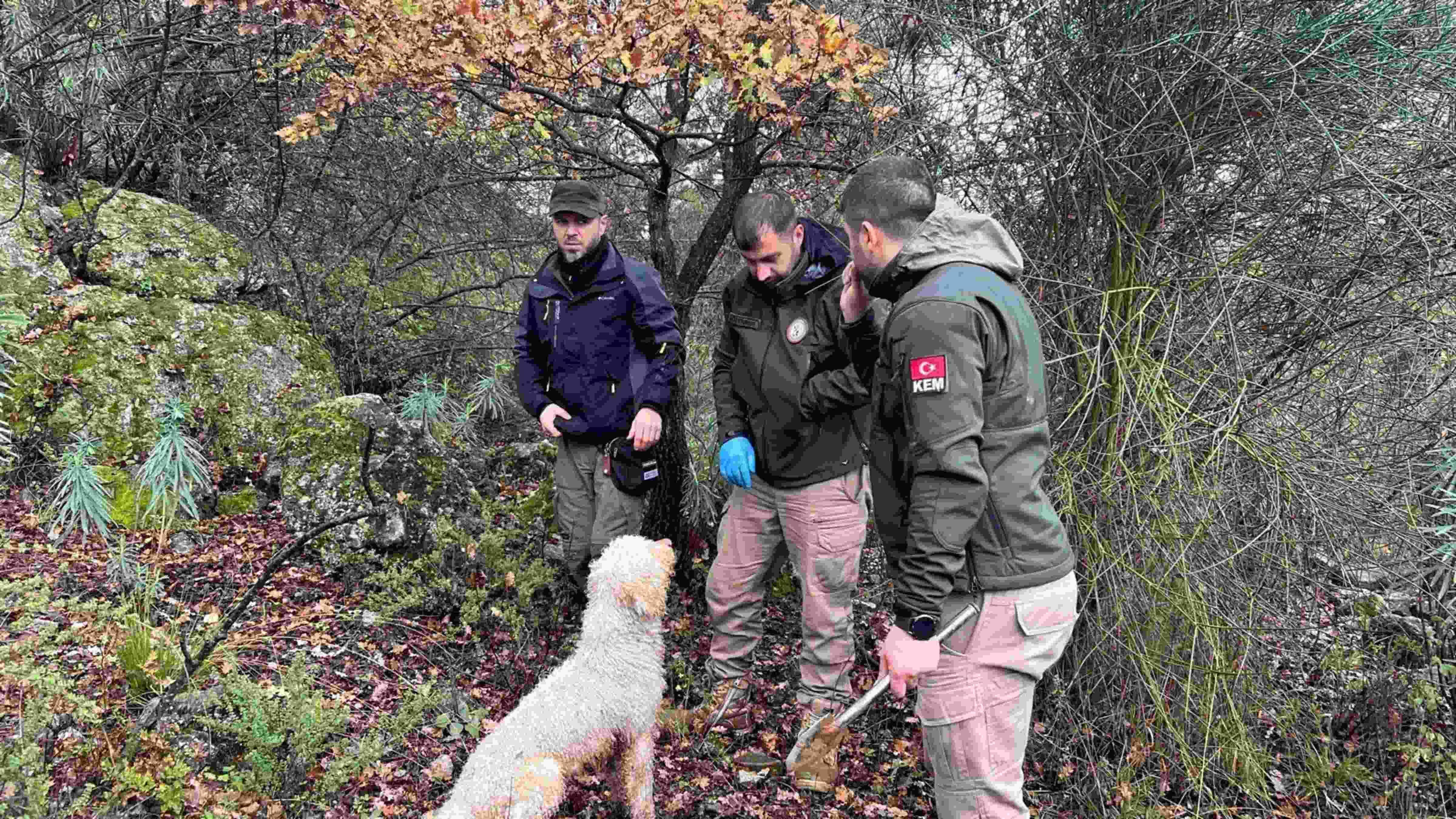 Study to construct Türkiye’s truffle map - Türkiye News