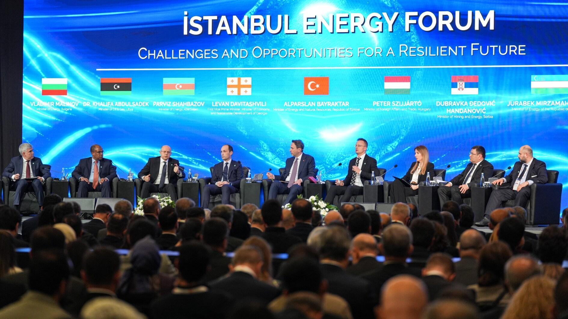 Türkiye can strengthen Europe’s green energy security: Minister