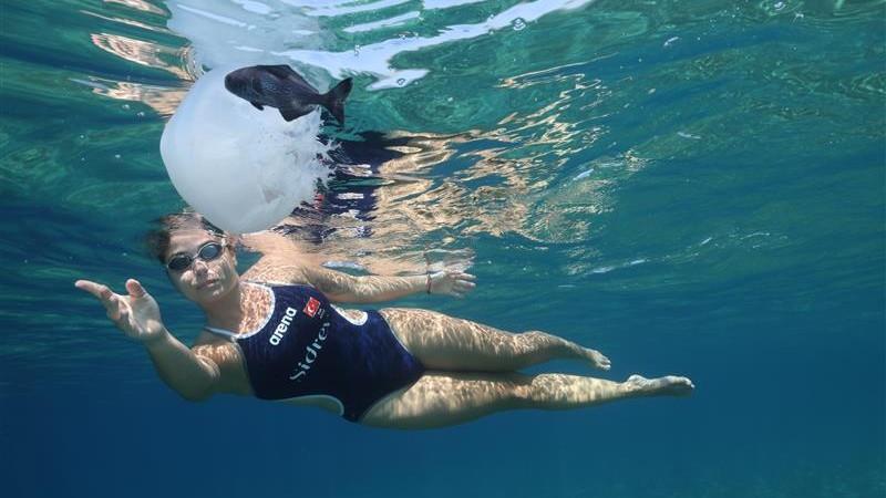 Türkiye marks landmark achievements in global swimming contests
