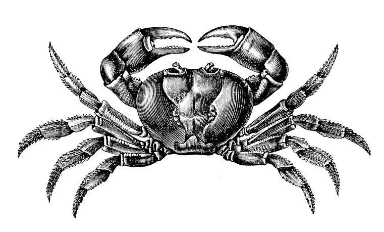 676f9e6eba392904c8de76d7.jpg