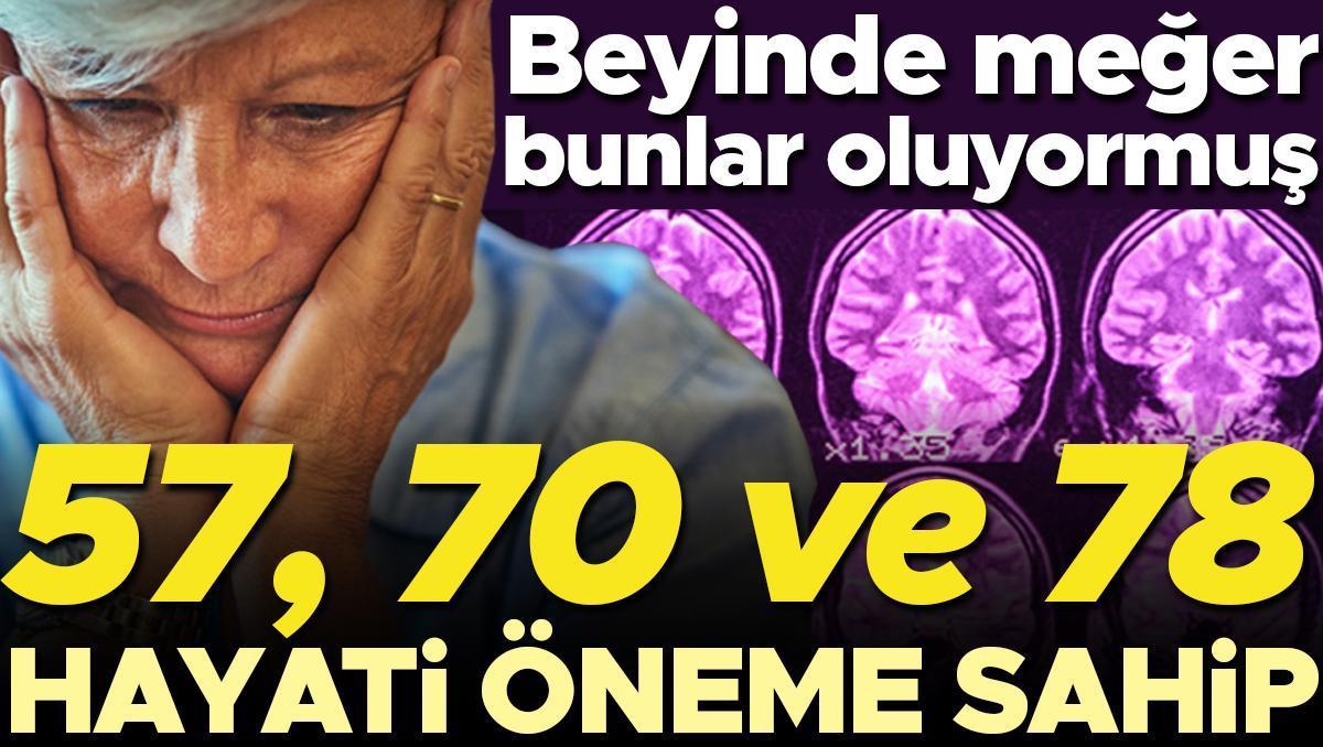 57, 70 ve 78'e çok dikkat! Beyin bu yaşlarda önemli ölçüde geriliyor… İşte yapmanız gereken hayati şeyler