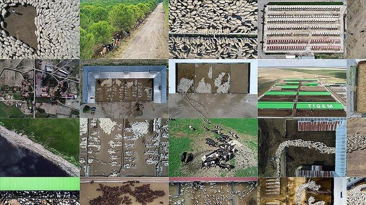 TARIM VE HAYVANCILIK DESTEK PAKETİ BAŞVURULARI BAŞLADI MI, NEREDEN YAPILIR