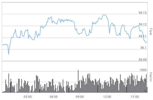 DOLAR ALIŞ SATIŞ NE KADAR