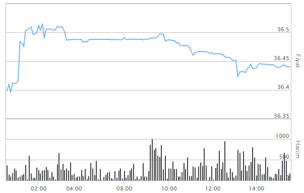 DOLAR ALIŞ SATIŞ NE KADAR