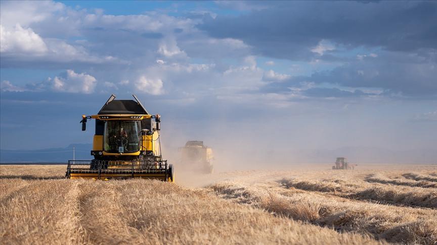 KIRSAL KALKINMA DESTEĞİ NEDİR KIRSAL KALKINMA DESTEĞİ NEDİR