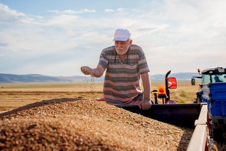2025 MAZOT GÜBRE DESTEĞİ YATTI MI, NE ZAMAN YATACAK 2025 MAZOT GÜBRE DESTEĞİ YATTI MI, NE ZAMAN YATACAK