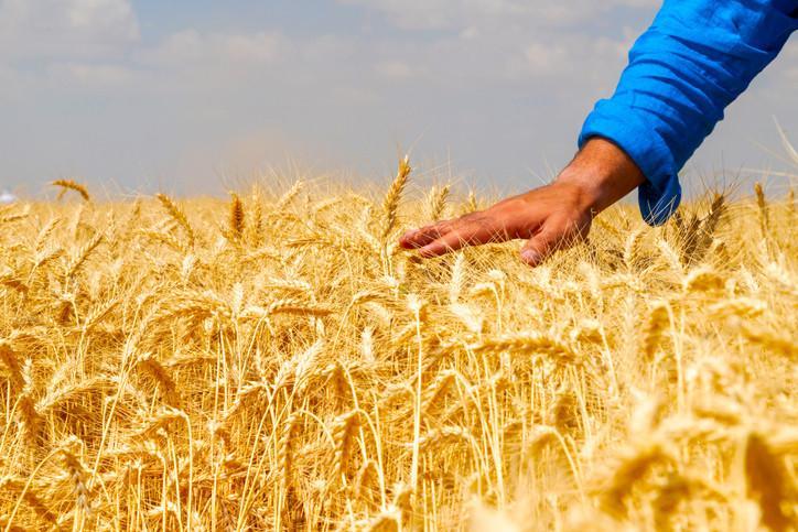 ÇİFTÇİ DESTEK ÖDEMESİ NASIL SORGULANIR ÇİFTÇİ DESTEK ÖDEMESİ NASIL SORGULANIR