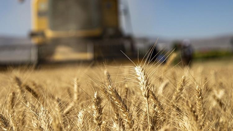 MAZOT GÜBRE DESTEĞİ ÖDEMELERİ SORGULAMA BİLGİSİ (NİSAN 2025) || Çiftçilere mazot ve gübre desteği hesaplara geçti mi Tarımsal desteleme ödemeleri yattı mı, ne zaman yatacak Açıklama geldi