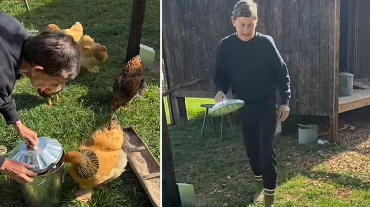 Şöhretten Köy Hayatına: Ekranların Yıldızı Tavuklarıyla Birlikte Yeni Bir Hayata Başladı!