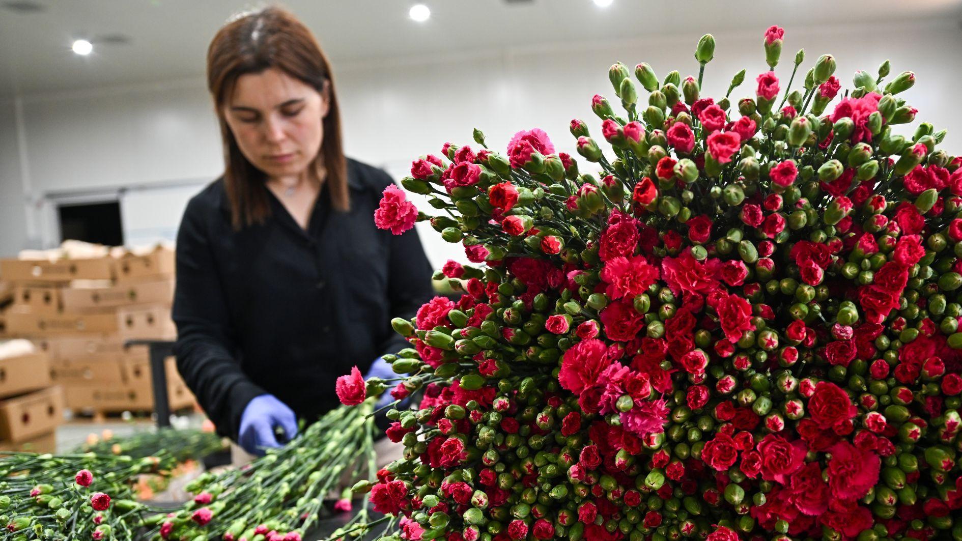 Mother’s Day e-commerce sales in Türkiye expected to exceed 10 billion liras