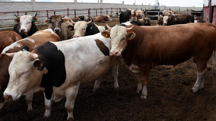 KURBAN BAYRAMI TATİLİ NE ZAMAN BAŞLIYOR