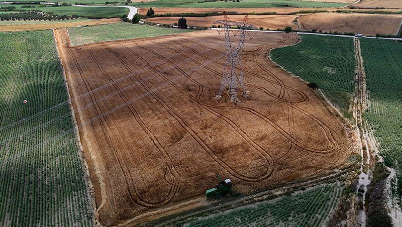 BUĞDAY ALIM FİYATLARI 2025 | TMO buğday ve hububat fiyatları ne zaman açıklanacak, buğday fiyatları belli oldu mu İşte güncel taban fiyatları