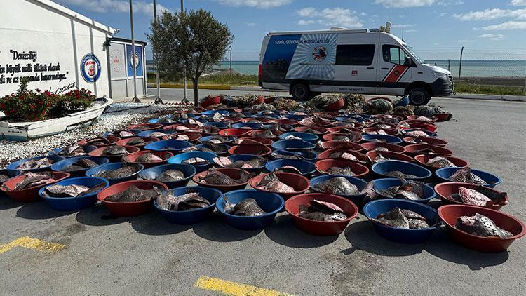 Arnavutköy'de kaçak avlanan 900 kalkan balığına el konuldu