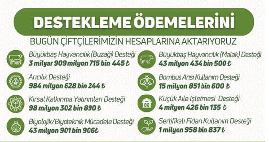 1. DÖNEM BUZAĞI DESTEĞİ ÖDEMELERİ YATTI MI, NE ZAMAN YATACAK