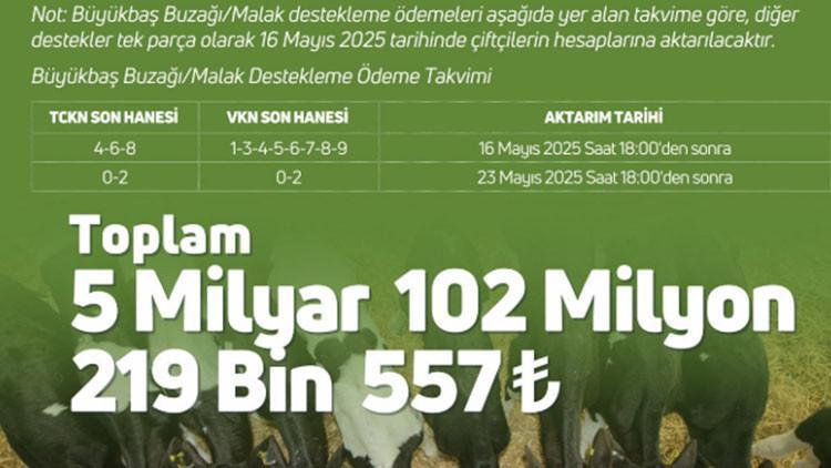 BUZAĞI DESTEĞİ 1. DÖNEM ÖDEME GÜNÜ VE TARİHİ MAYIS 2025 || Buzağı desteği ödeme sorgulama nasıl, nereden yapılır Büyükbaş (buzağı/malak) destekleme ödemeleri yattı mı, ne zaman yatacak Bakan Yumaklı duyurdu