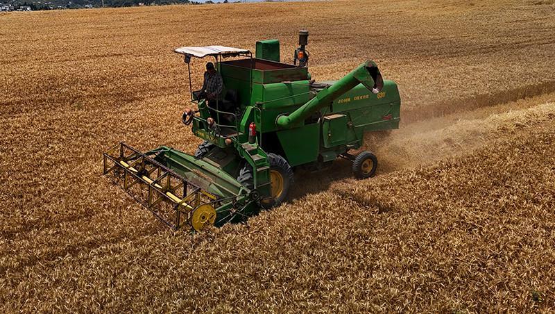 BUĞDAY FİYATLARI 2025 TMO | Hububat ve buğday alım fiyatları ne kadar Ekmeklik, makarnalık buğday ve arpa fiyatları belli oldu mu İşte güncel buğday taban fiyatları BUĞDAY FİYATLARI 2025 TMO | Hububat ve buğday alım fiyatları ne kadar Ekmeklik, makarnalık buğday ve arpa fiyatları belli oldu mu İşte güncel buğday taban fiyatları