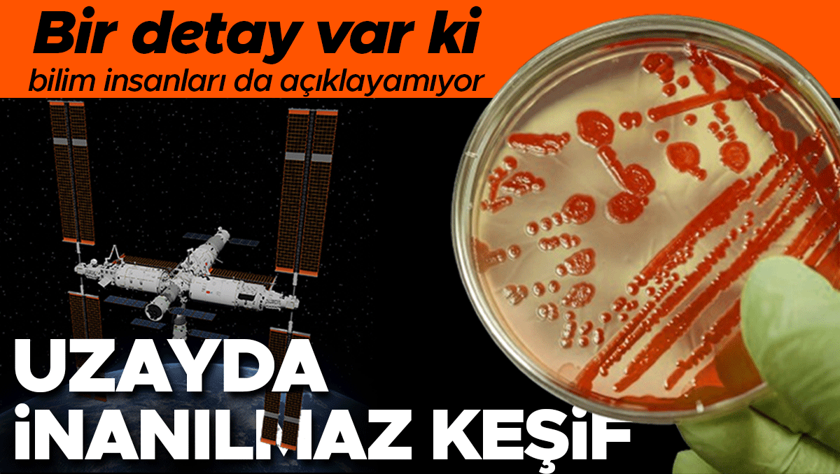 Uzayda inanılmaz keşif: Yeni bir bakteri türü bulundu.. Bir detay var ki bilim insanları da açıklayamıyor | Bu insanlık için neden önemli?