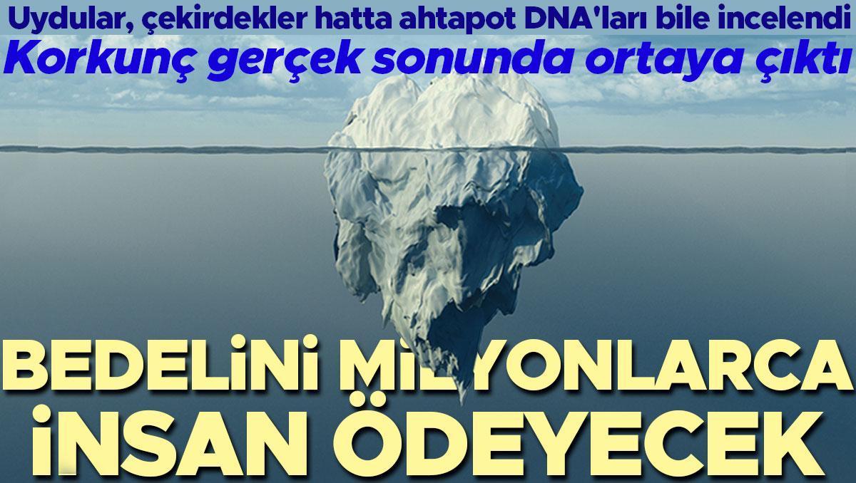 Dünyadaki buz tabakaları için korkunç gerçek ortaya çıktı! Bunun bedelini ise milyonlarca insan ödeyecek