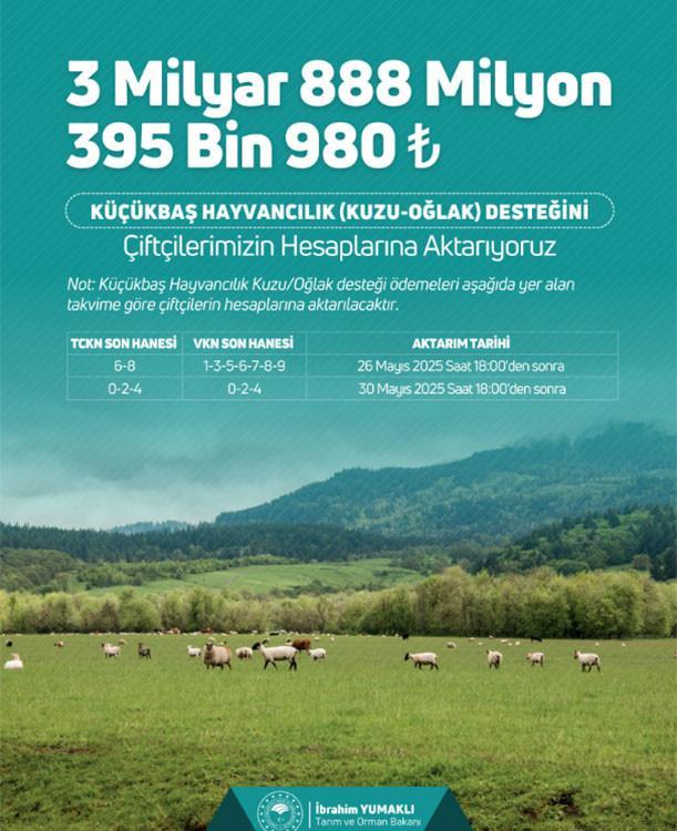 KÜÇÜKBAŞ HAYVANCILIK DESTEK ÖDEMESİ MAYIS 2025