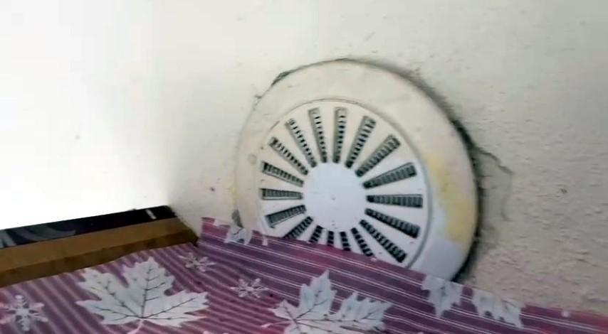 Kargaların ineğinden faydalanarak yaptığını görünce şaşkına döndü