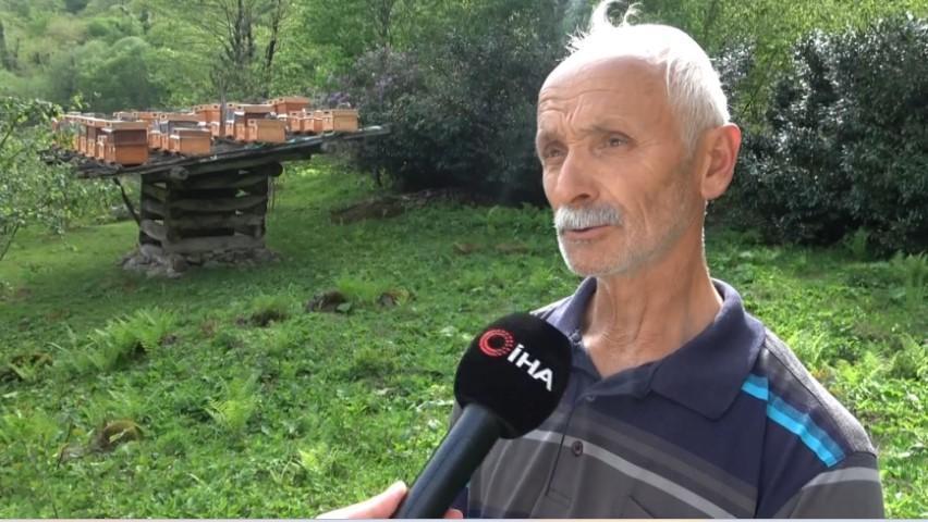 4 yılda bir hasat ediliyor... Faydaları saymakla bitmiyor ama ölçüyü kaçıran gözünü hastanede açıyor