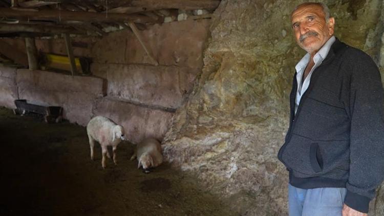 Bir gecede hepsi yok oldu! 'Canavar geldi, hepsini kırdı geçti'