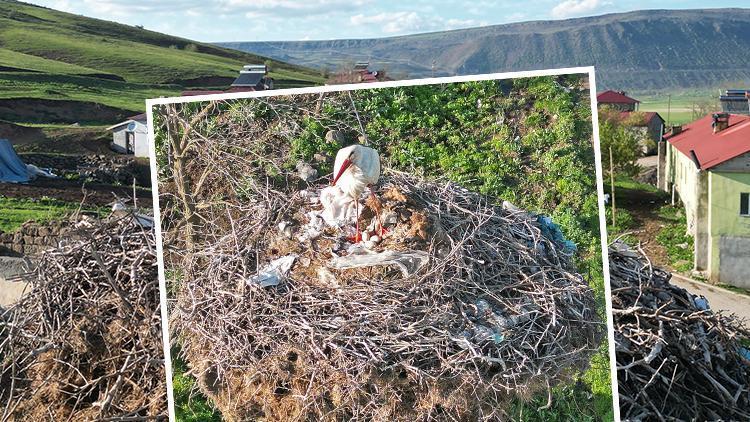 Köylüleri hayran bırakan manzara: Yavrularının başından bir an olsun ayrılmadı