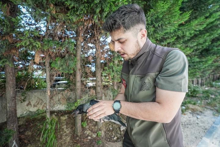 Haber Resmi