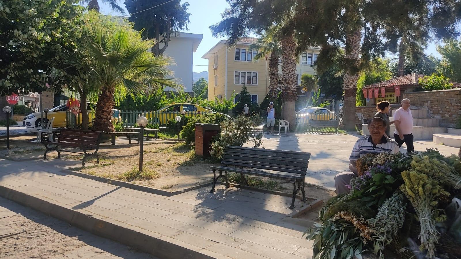 Deprem Off Gökçacaa, ülkenin son sismik faaliyetine katkıda bulunuyor