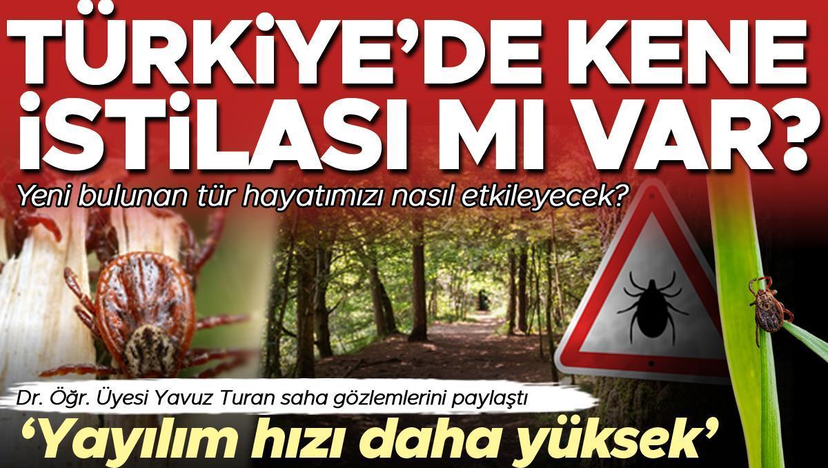 Kene istilası mı var? Yeni bulunan tür hayatımızı nasıl etkileyecek? ‘Diğer türlere göre yayılım hızı daha yüksek”
