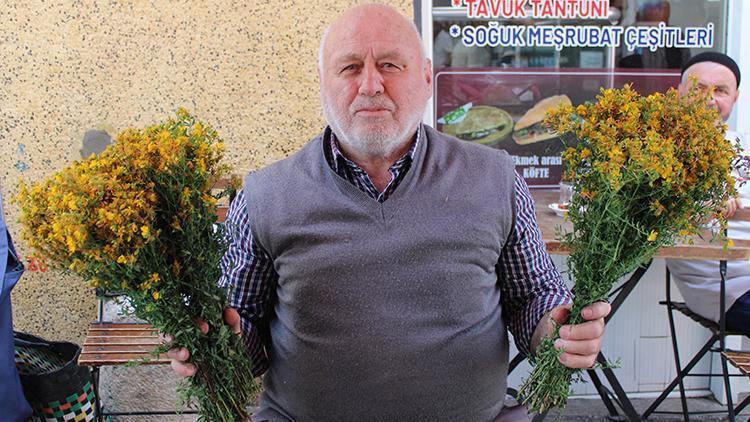 Dağlardan toplayıp pazarda satıyorlar: Faydaları satmakla bitmiyor