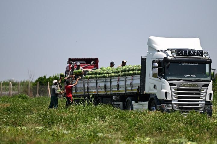 Adanada karpuzun fiyatı sudan ucuz hale geldi... Rakam 25 liradan buraya geriledi