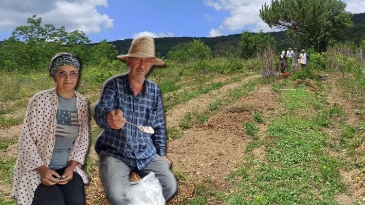 Zonguldak'ın Devrek ilçesine yerleşerek bir ilke imza attılar! 'Çok merak eden, soran var'