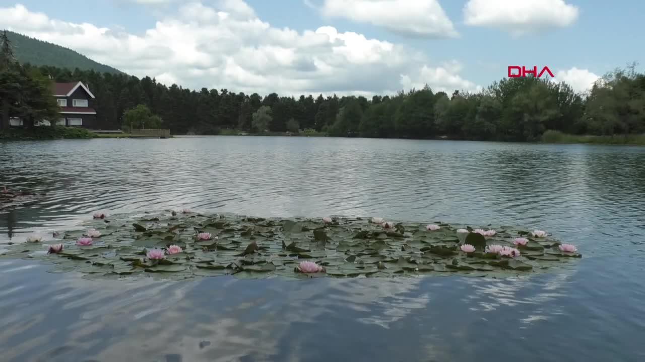 68510dd9382339c6a070c9b2.jpg
