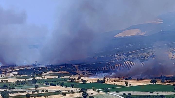 İzmir'de orman yangını: Havadan ve karadan müdahale ediliyor