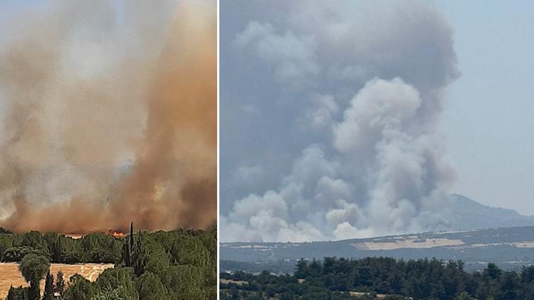 Çanakkale'de orman yangını