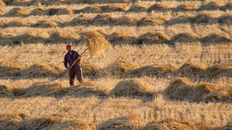 1408 PROJEYE TOPLAM 9,8 MİLYAR LİRA HİBE DESTEĞİ 1408 PROJEYE TOPLAM 9,8 MİLYAR LİRA HİBE DESTEĞİ