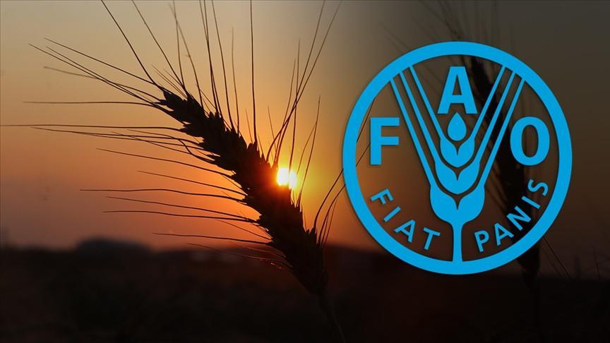 Türkiye, 2025-2028 için FAO Konseyi'nde koltuk sağlıyor