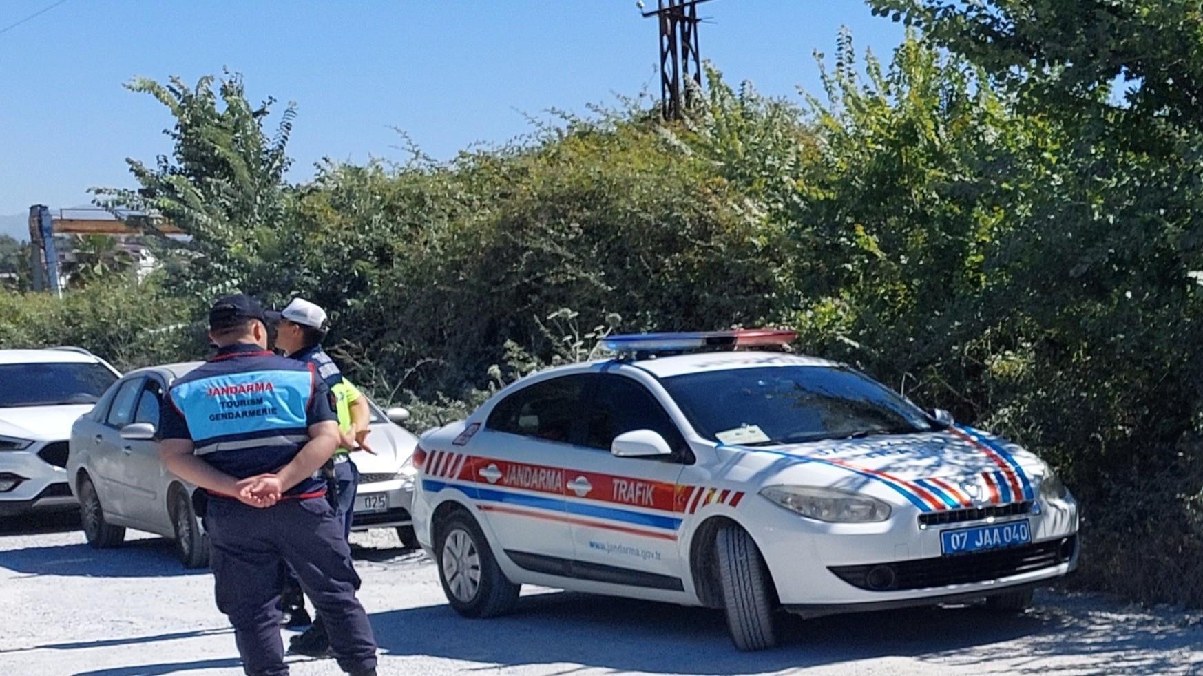 Aslan Vahşi Yaşam Parkı'ndan kaçar, yerel adamı yaraladı