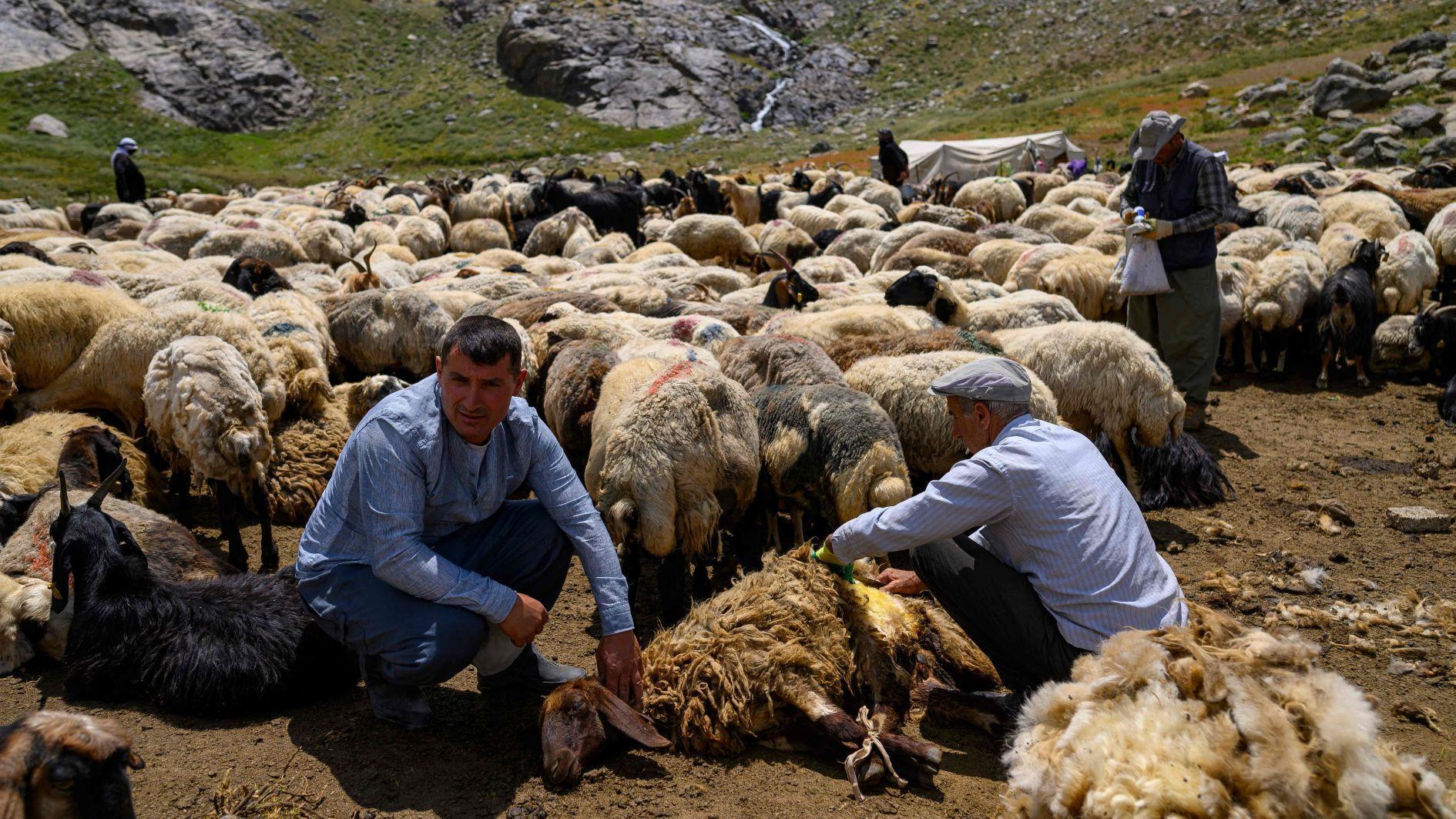 Çiftçiler 'Terörsüz Türkiye' Girişimi'nin ortasında barış içinde Hakkari Dağları'na döner