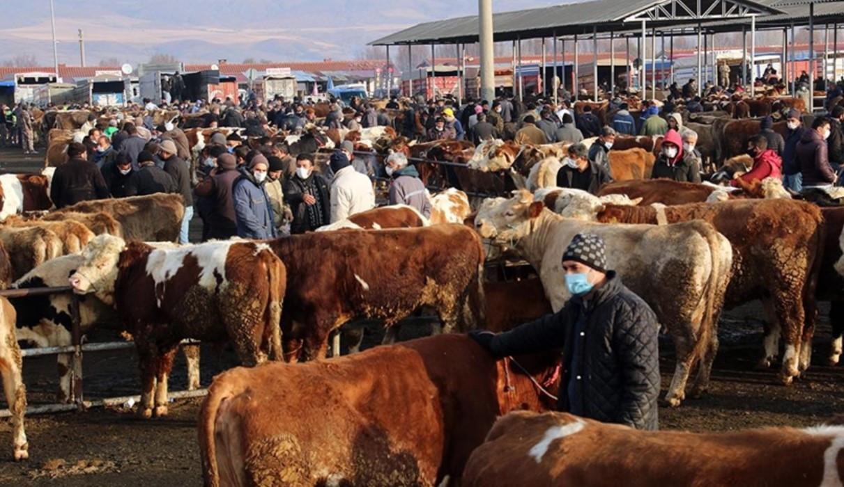 Hayvan pazarları ne zaman açılacak Türkiye geneli hayvan pazarları ne zaman açılır Hayvan pazarları ne zaman açılacak Türkiye geneli hayvan pazarları ne zaman açılır