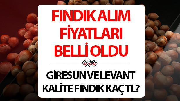 FINDIK FİYATLARI 2025 TMO SON DAKİKA AÇIKLANDI || Kilogram başı fındık fiyatları ne kadar oldu Toprak Mahsulleri Ofisi (TMO) fındık fiyatları kaç TL İşte güncel Levant ve Giresun kalite fındık alımı 2025 taban fiyatları FINDIK FİYATLARI 2025 TMO SON DAKİKA AÇIKLANDI || Kilogram başı fındık fiyatları ne kadar oldu Toprak Mahsulleri Ofisi (TMO) fındık fiyatları kaç TL İşte güncel Levant ve Giresun kalite fındık alımı 2025 taban fiyatları