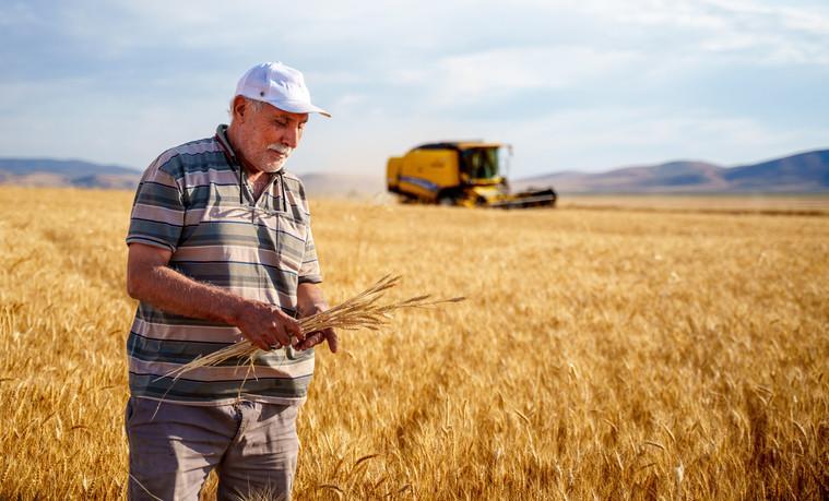 Çiftçi destek ödemeleri yattı mı, ne zaman yatacak Bakan Yumaklı açıkladı Tarımsal destek ödemeleri nereden sorgulanır